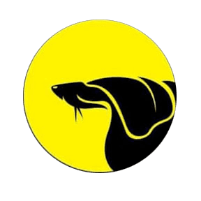 Monsterfish Logo